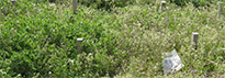 side image 1