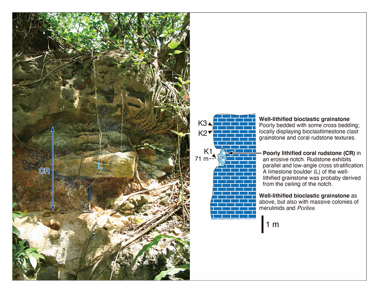 side image 2
